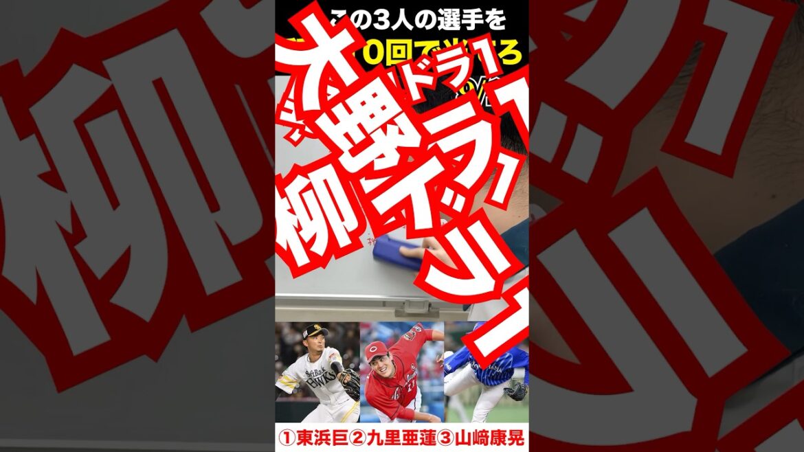 プロ野球アキネーター #東浜巨 #九里亜蓮 #山﨑康晃 #プロ野球 #アキネーター