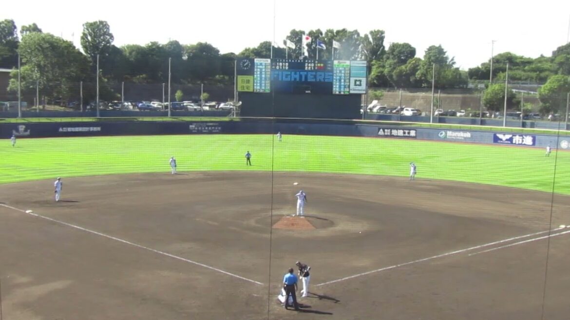 【マリーンズ】平沢大河 マーフィーからフォアボールを選ぶ（2024年9月11日 日本ハムファイターズ 対 千葉ロッテマリーンズ 鎌ヶ谷）