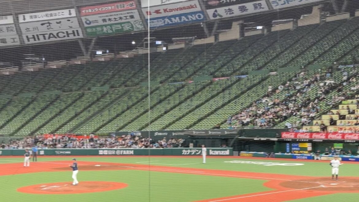 アカペラ チャンステーマ4 【ファームサンクスデー 西武vsヤクルト】2024/9/25