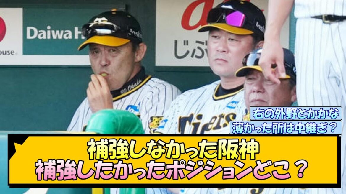 補強しなかった阪神、補強したかったポジションどこ?【なんJ/2ch/5ch/ネット 反応 まとめ/阪神タイガース/岡田監督】 補強しなかった阪神、補強したかったポジションどこ?【なんJ/2ch/5ch/ネット 反応 まとめ/阪神タイガース/岡田監督】