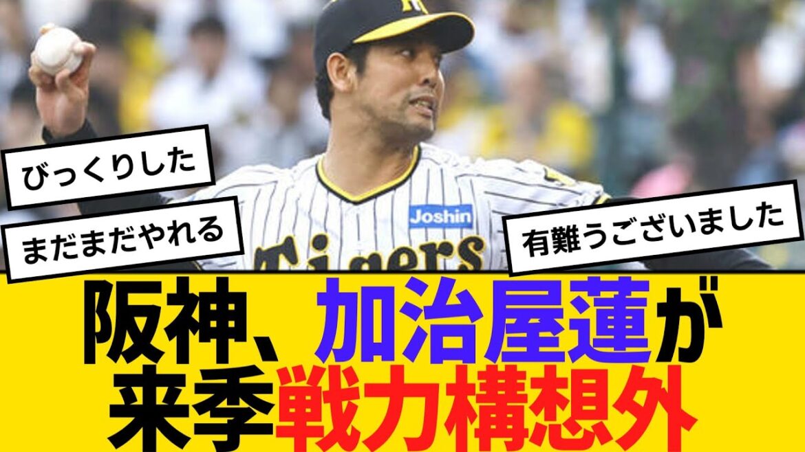阪神、加治屋蓮が来季戦力構想外　【ネットの反応】【反応集】