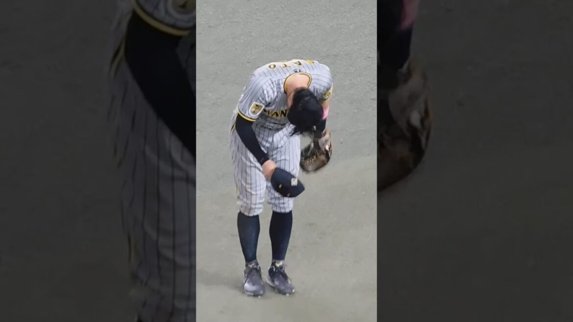 タイムリーを放ちファンの歓声に応える大山悠輔・佐藤輝明・坂本誠志郎