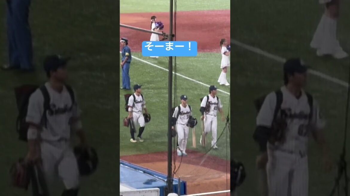 内山壮真選手ガンバレ！ヤクルトスワローズ