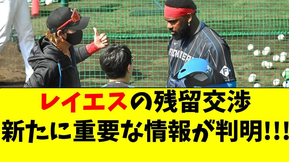 【日ハム】レイエスの来季契約に関する超重要な情報がこちら