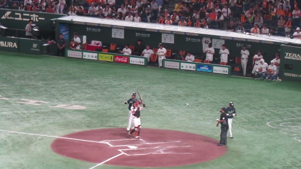 中村悠平 川端慎吾 を抑えた時の巨人ベンチの様子（2024年9月14日 読売ジャイアンツ 対 ヤクルトスワローズ）