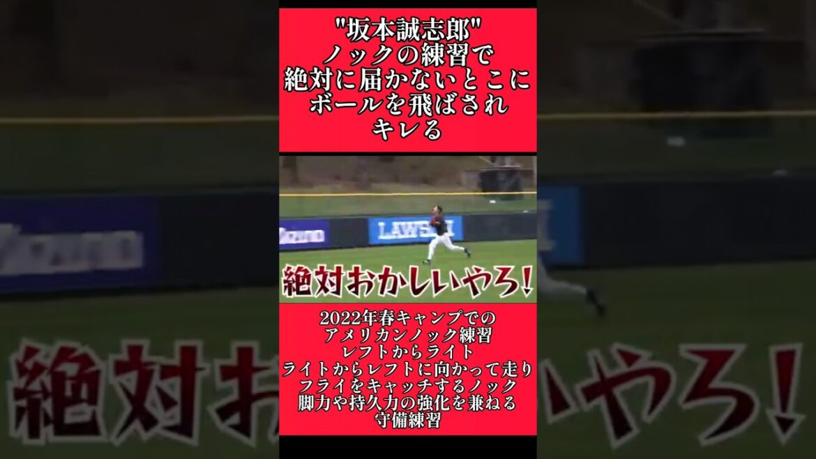 【阪神】"坂本誠志郎"ノックの練習でキレる！ #阪神 #阪神タイガース #坂本誠志郎  #shorts