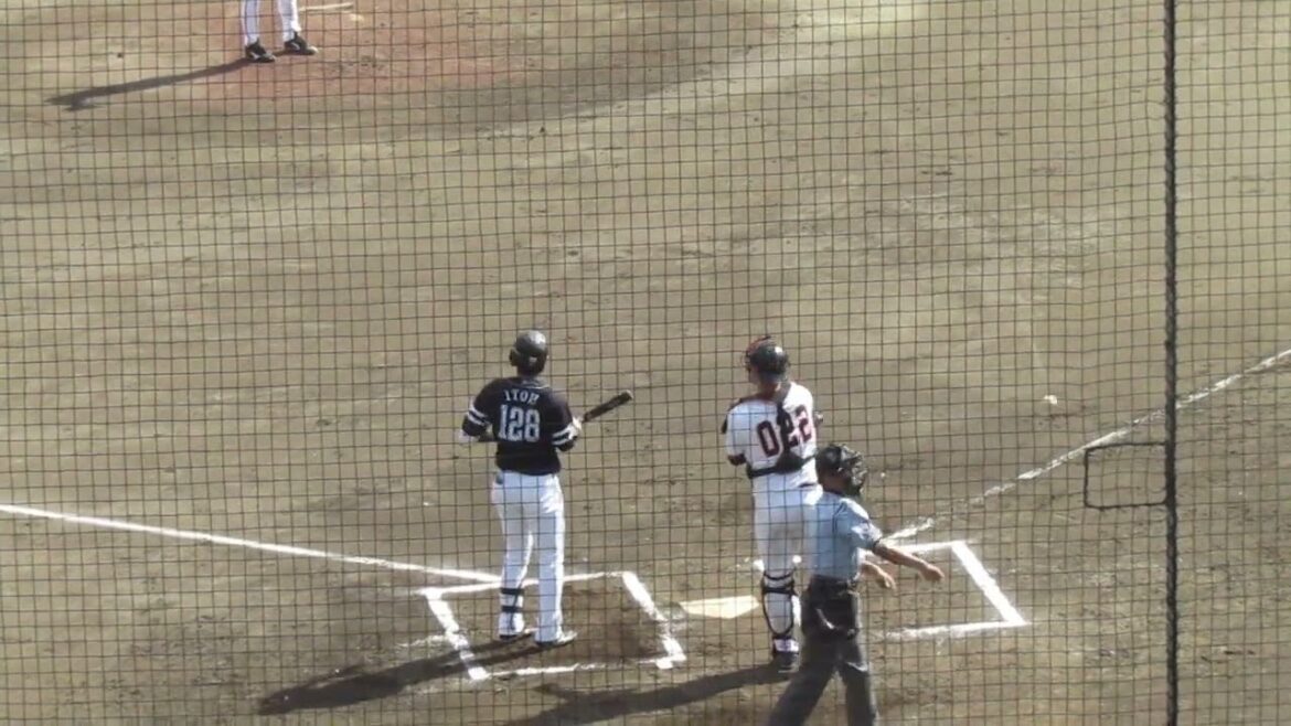 【ソフトバンク】伊藤大将の打撃フォーム（2024年9月2日 読売ジャイアンツ3軍 対 ソフトバンクホークス3軍）