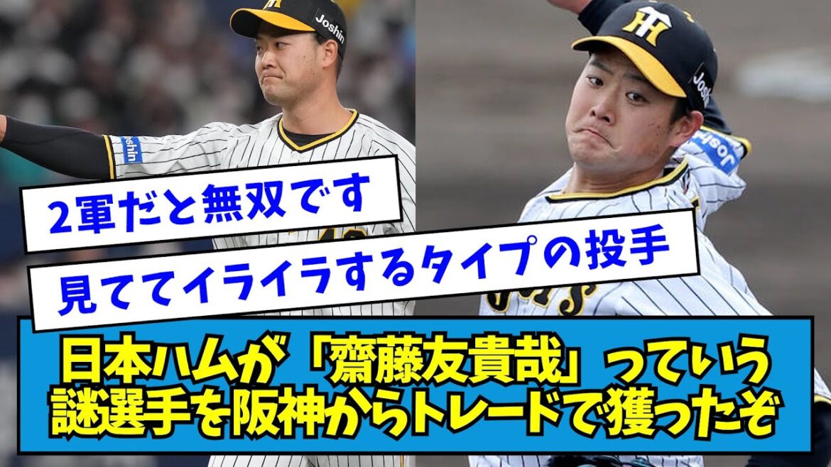 【2022年】日本ハムが「齋藤友貴哉」っていう謎選手を阪神からトレードで獲ったぞ【なんJ反応】