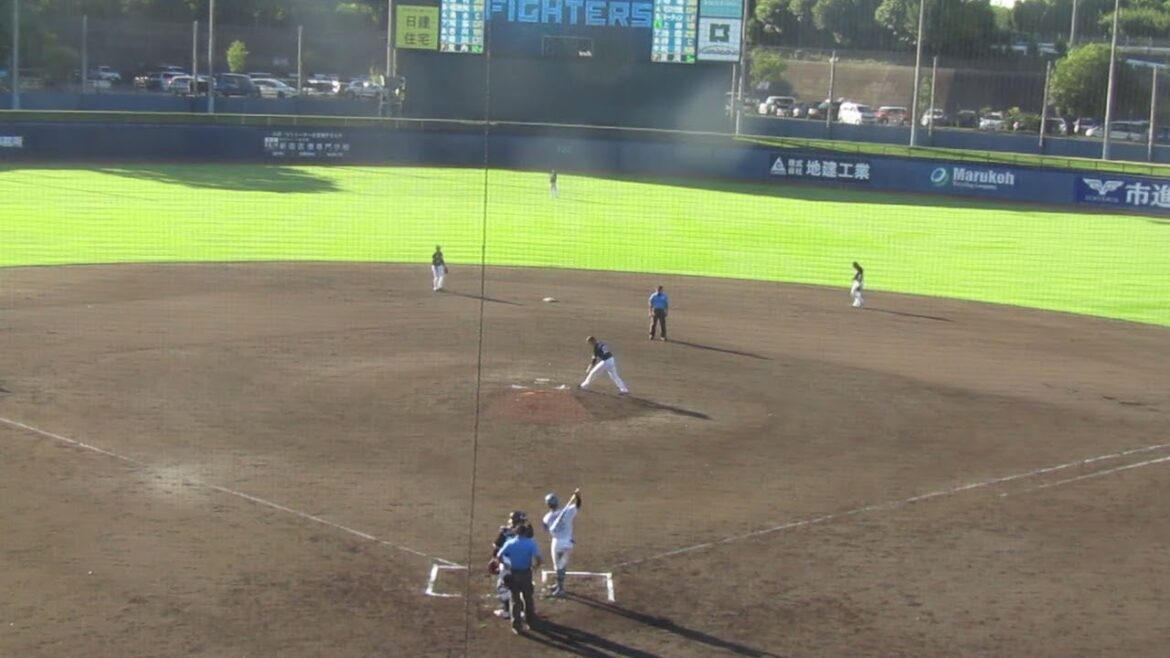 【ファイターズ】細川凌平センターへヒットで平田大樹はショートフライ（2024年9月11日 日本ハムファイターズ 対 千葉ロッテマリーンズ 鎌ヶ谷）