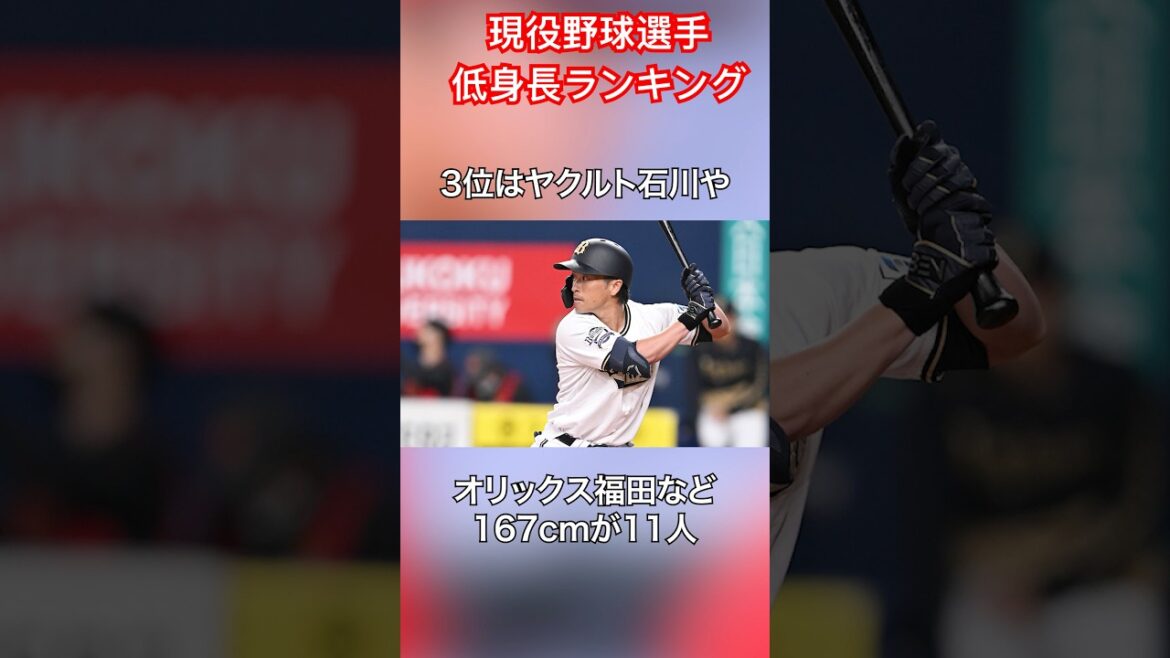 現役野球選手低身長ランキング