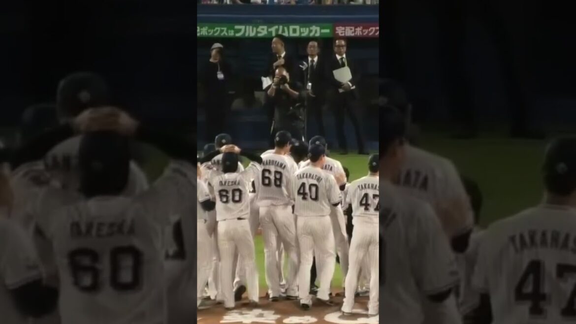 山崎晃大朗、胴上げされる！ #東京ヤクルトスワローズ #shorts