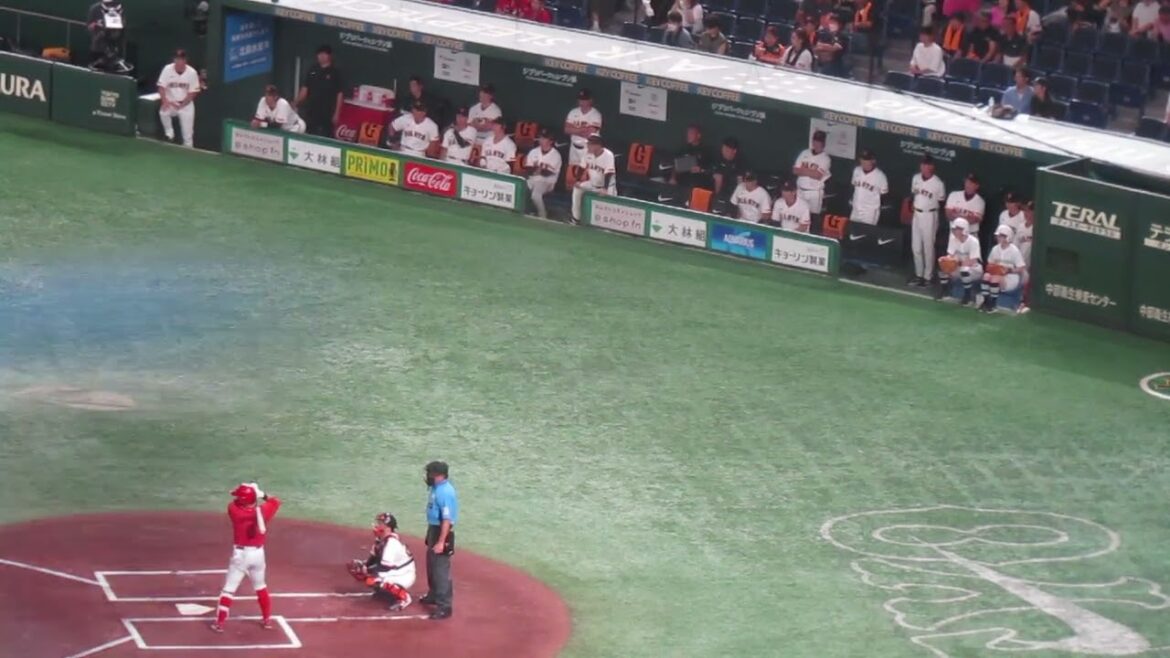 上本崇司 三振で喜ぶジャイアンツベンチ（読売ジャイアンツ対 広島カープ 2024年6月29日）