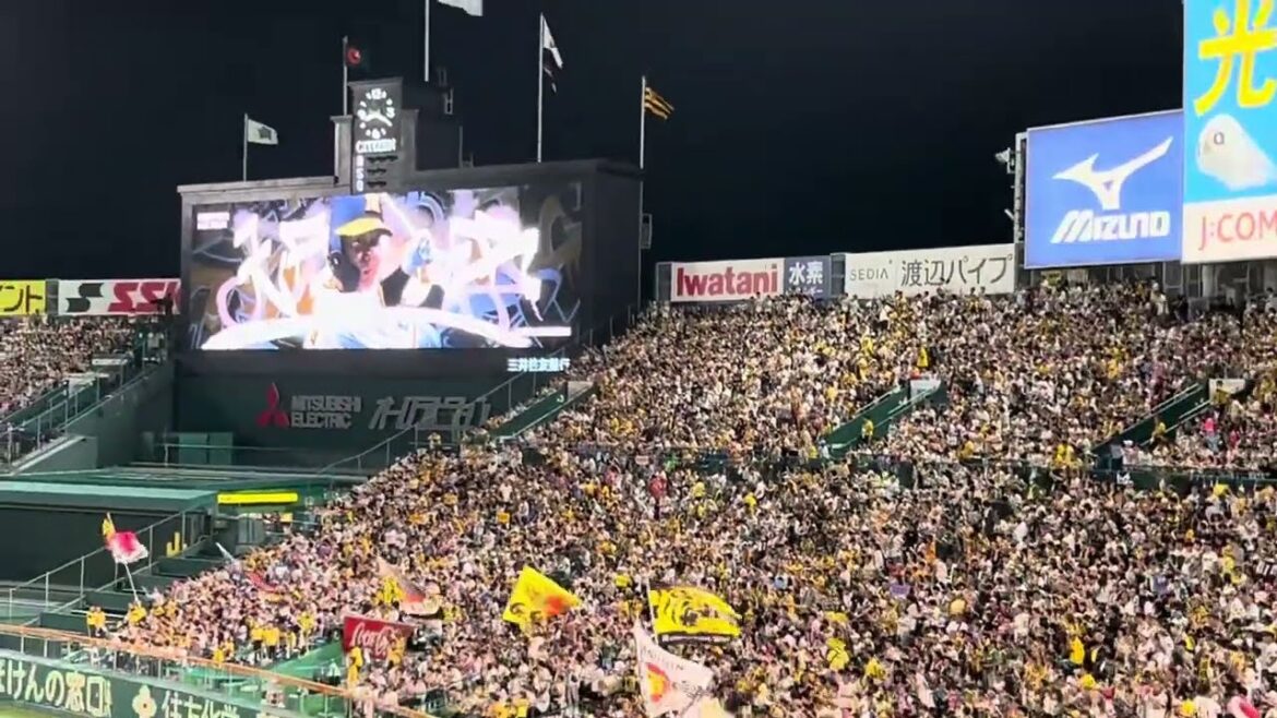 【代打男打】 #阪神 #糸原健斗 選手タイムリーヒット！24.9.29.🆚 #横浜DeNAベイスターズ#阪神甲子園球場