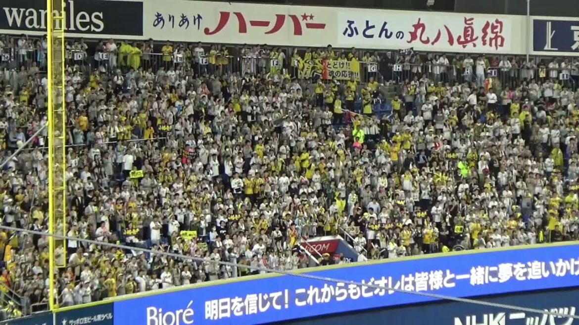 【小幡竜平選手】阪神タイガース 応援歌|vs横浜DeNAベイスターズ リーグ最終戦 2024.10.03 【小幡竜平選手】阪神タイガース 応援歌|vs横浜DeNAベイスターズ リーグ最終戦 2024.10.03