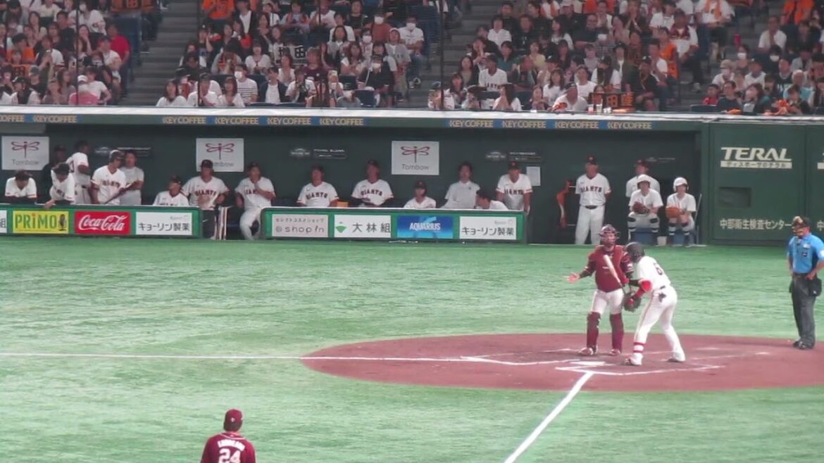 【巨人ベンチ】9回 笹原操希のツーベースと増田陸の送りバントで喜ぶ選手たち（読売ジャイアンツ 対 楽天ゴールデンイーグルス 2024年9月22日）