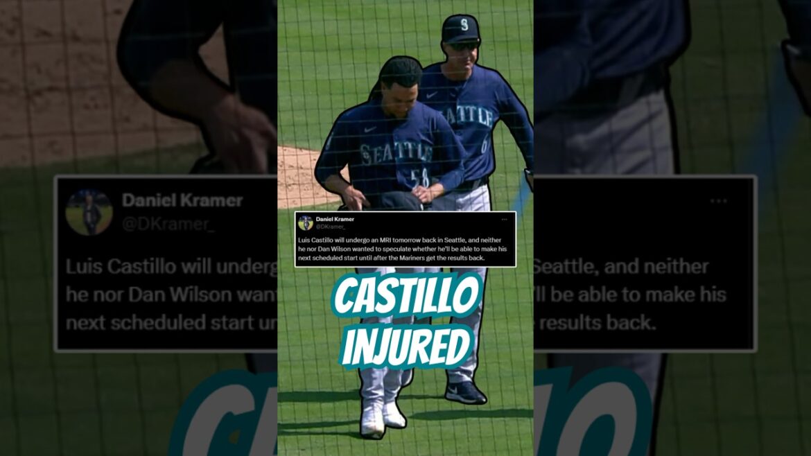 How will the Mariners do if Luis Castillo is done for the year? #mariners #mlb