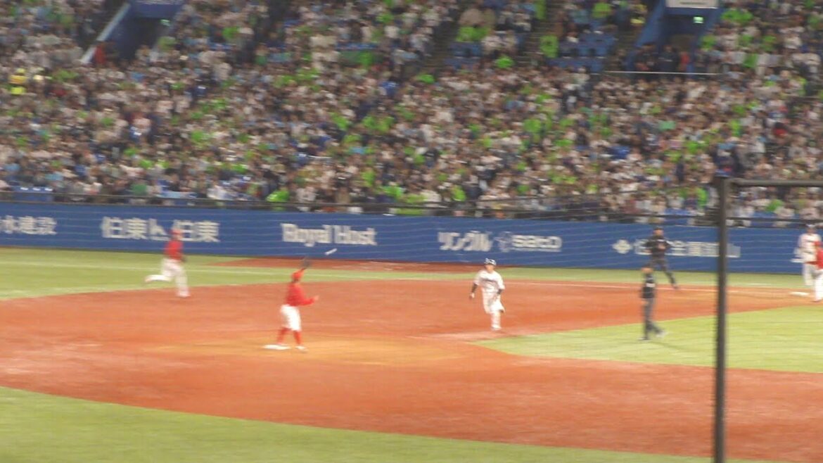 広島 林晃汰のキャッチによる、363のダブルプレー　ヤクルト vs 広島　2024年10月3日(木) 神宮球場