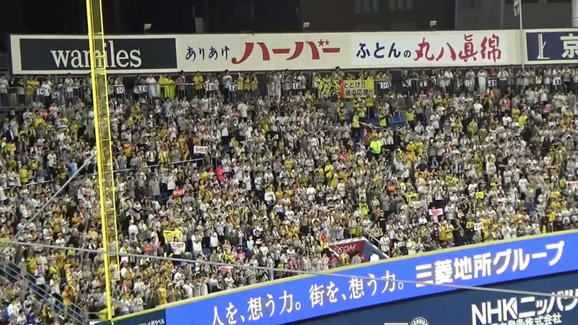 【前川右京選手】阪神タイガース 応援歌|vs横浜DeNAベイスターズ リーグ最終戦 2024.10.03 【前川右京選手】阪神タイガース 応援歌|vs横浜DeNAベイスターズ リーグ最終戦 2024.10.03