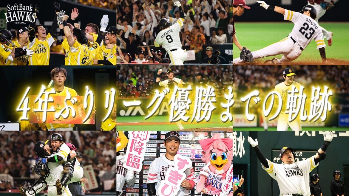 【興奮が蘇る】2024年シーズンSPダイジェスト