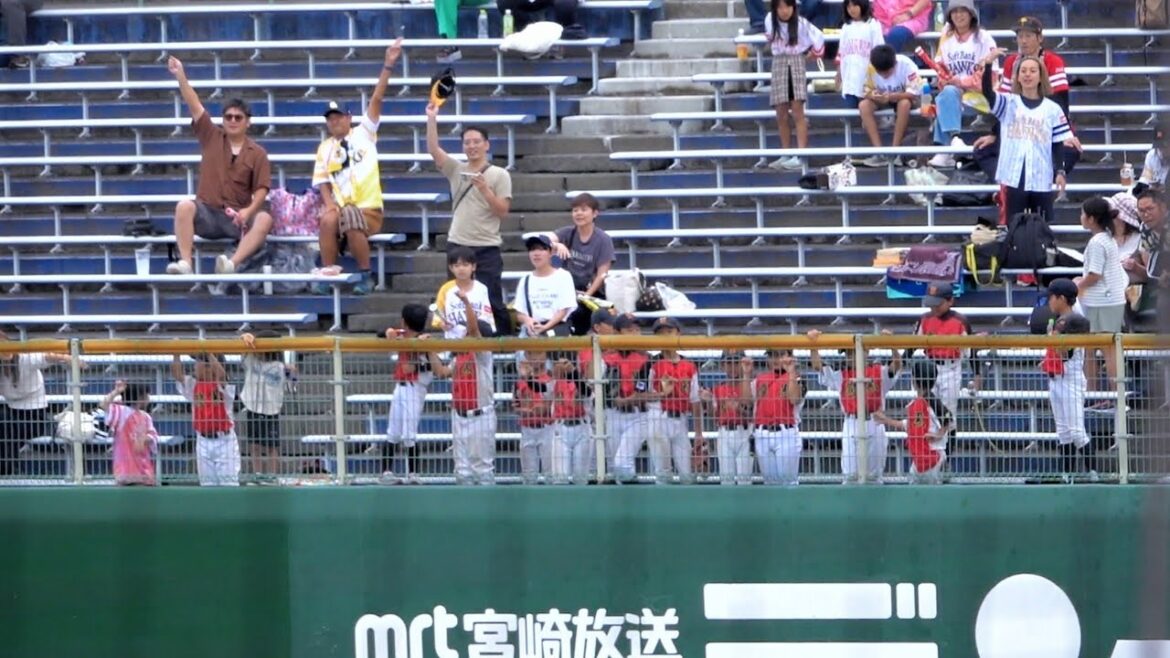 ホークス側の少年たちが必死のアピールでホームラン判定に覆る！フォード2打席連発のホームラン！ファーム日本シリーズ 2024/10/05 横浜DeNAベイスターズ