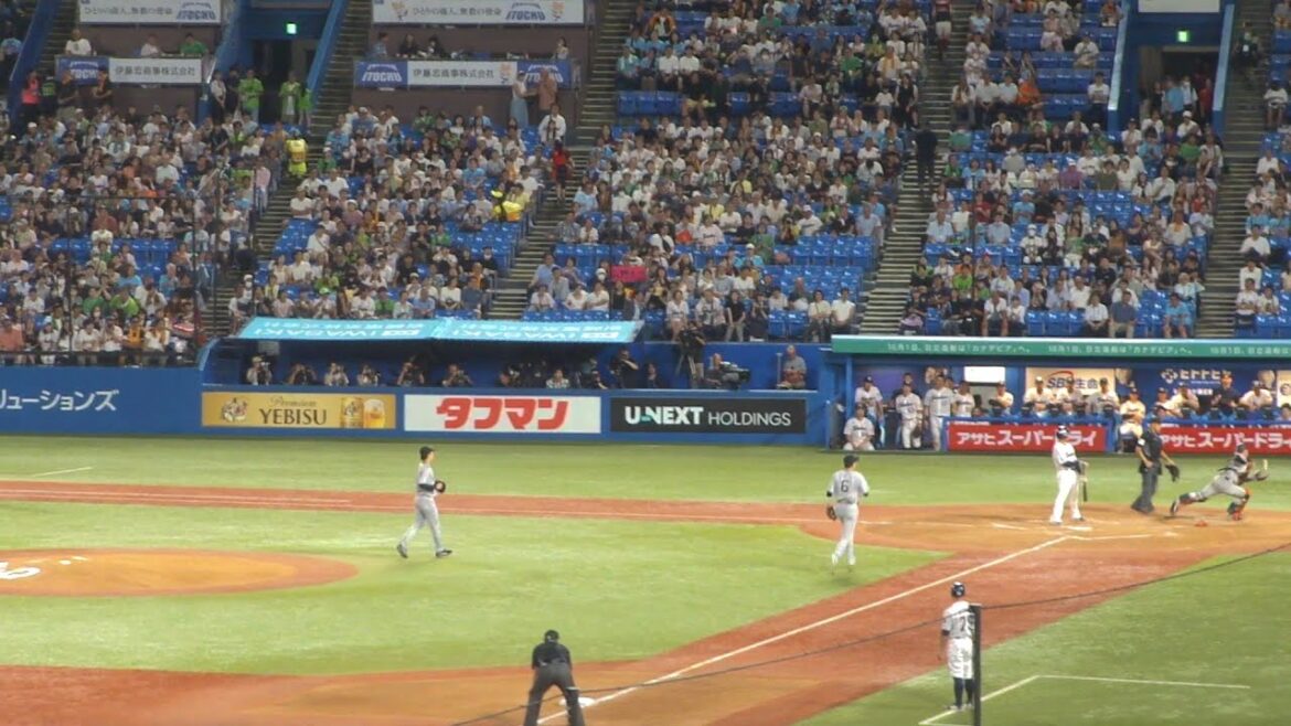 巨人 岸田行倫 ナイスプレーで送りバント失敗　ヤクルト vs 巨人　2024年9月13日(金) 神宮球場