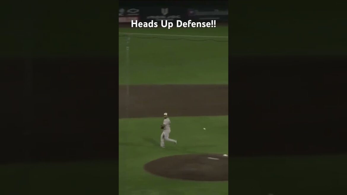 Cooper Edwards making a smart play! #baseball #railcats #mlb #catchers #defence