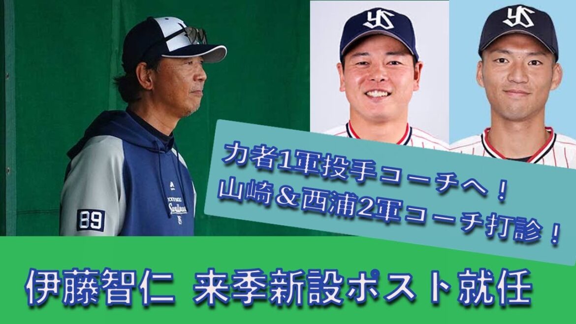伊藤智仁１軍コーチが来季新設ポスト就任へ　引退の山崎晃大朗&西浦直亨に２軍コーチ打診 20241006