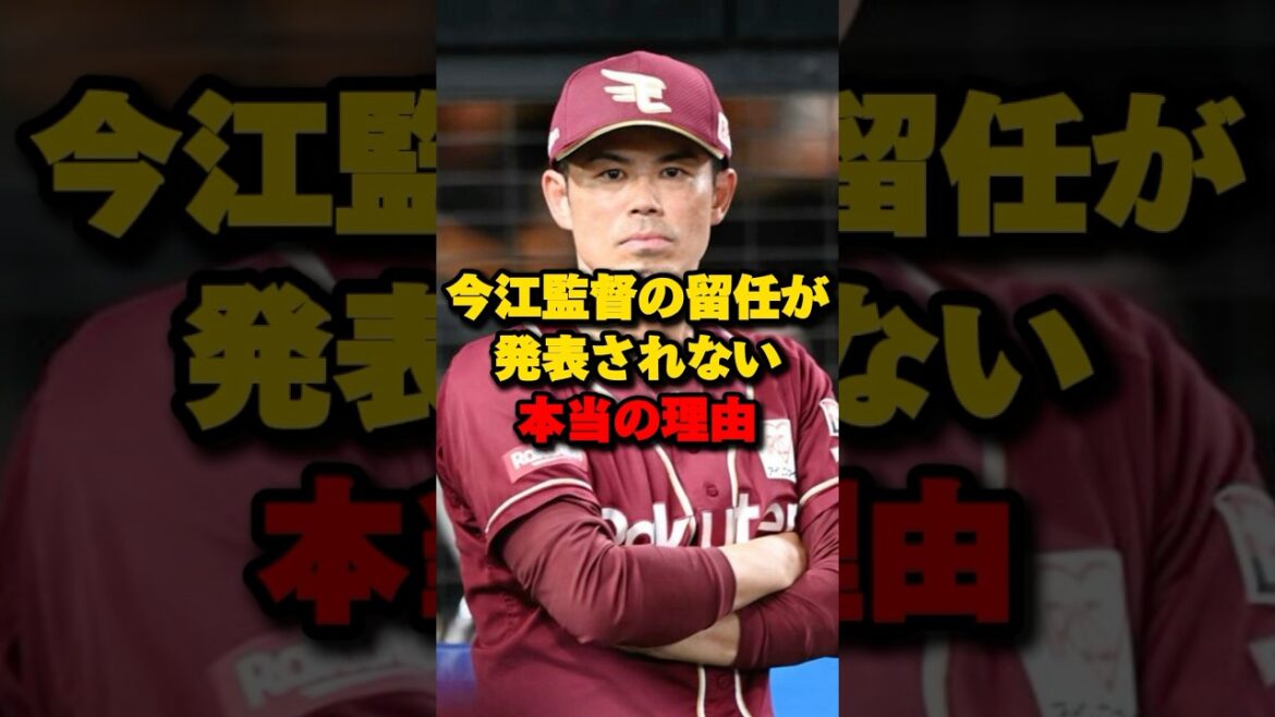 今江監督の留任が発表されない衝撃の理由#楽天イーグルス #今江敏晃