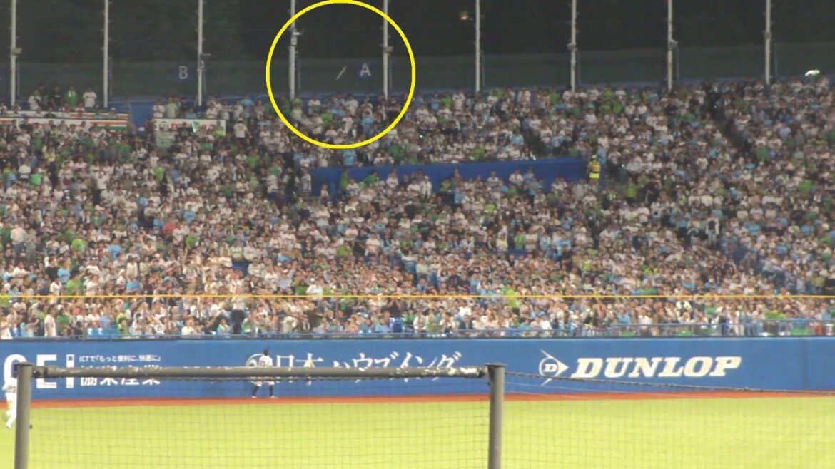 広島 坂倉将吾 ホームラン 第12号 　ヤクルト vs 広島　2024年10月2日(水) 神宮球場