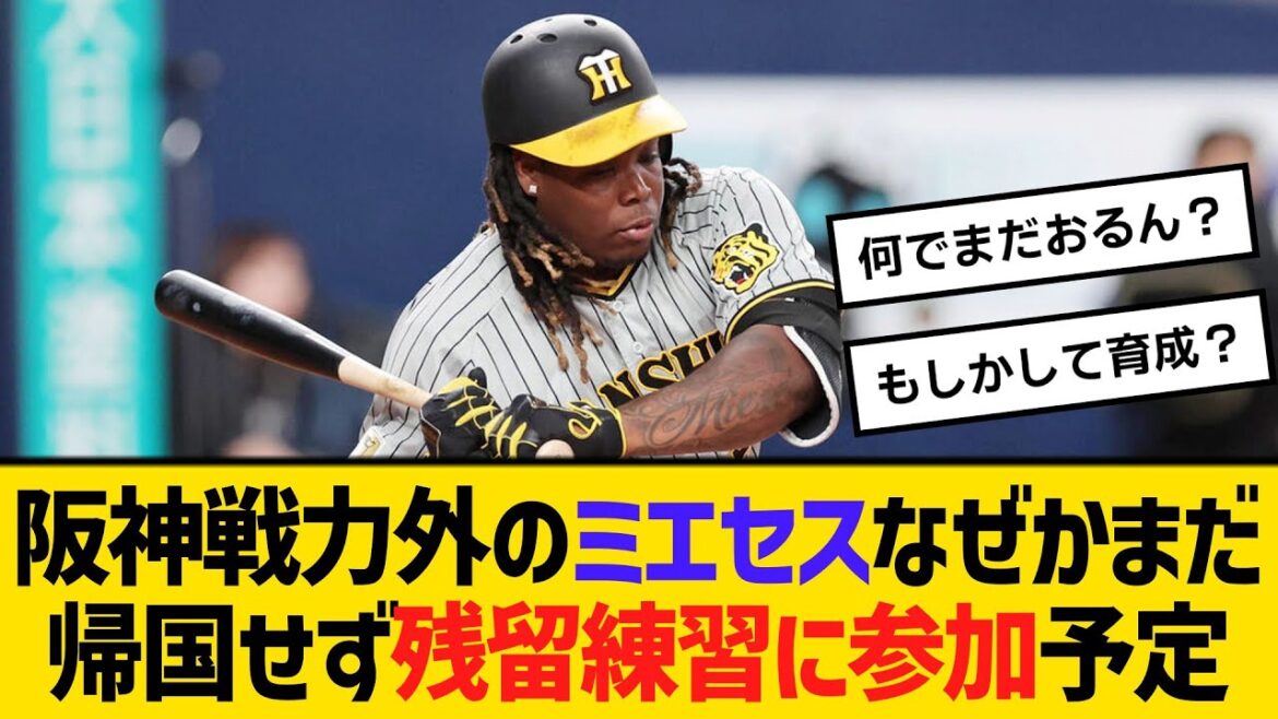阪神戦力外のミエセス、なぜかまだ帰国せず残留練習に参加予定　【ネットの反応】【反応集】