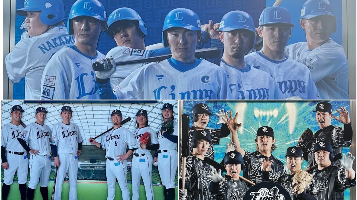 【2024シーズン定点観測】ベルーナドームのフォトスポットを半年間撮りました【埼玉西武ライオンズ】 【2024シーズン定点観測】ベルーナドームのフォトスポットを半年間撮りました【埼玉西武ライオンズ】