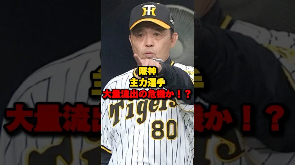 阪神主力選手大量流出の危機か！？#阪神タイガース #プロ野球