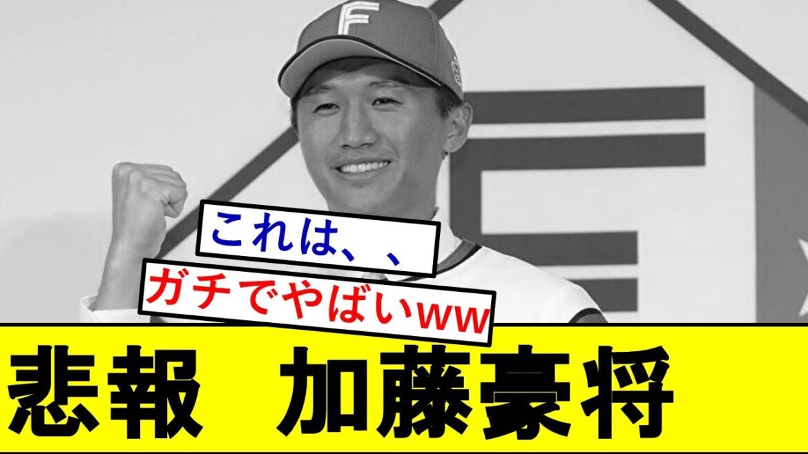 【悲報】逆輸入・加藤豪将(30)さん、ガチでとんでもないことになっていた模様wwwww【北海道日本ハムファイターズ】