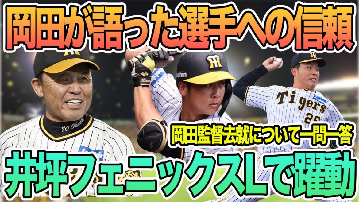 【岡田監督が語った選手への信頼度】井坪陽生がフェニックスリーグで躍動 岡田監督去就について一問一答 阪神タイガース 【岡田監督が語った選手への信頼度】井坪陽生がフェニックスリーグで躍動 岡田監督去就について一問一答 阪神タイガース