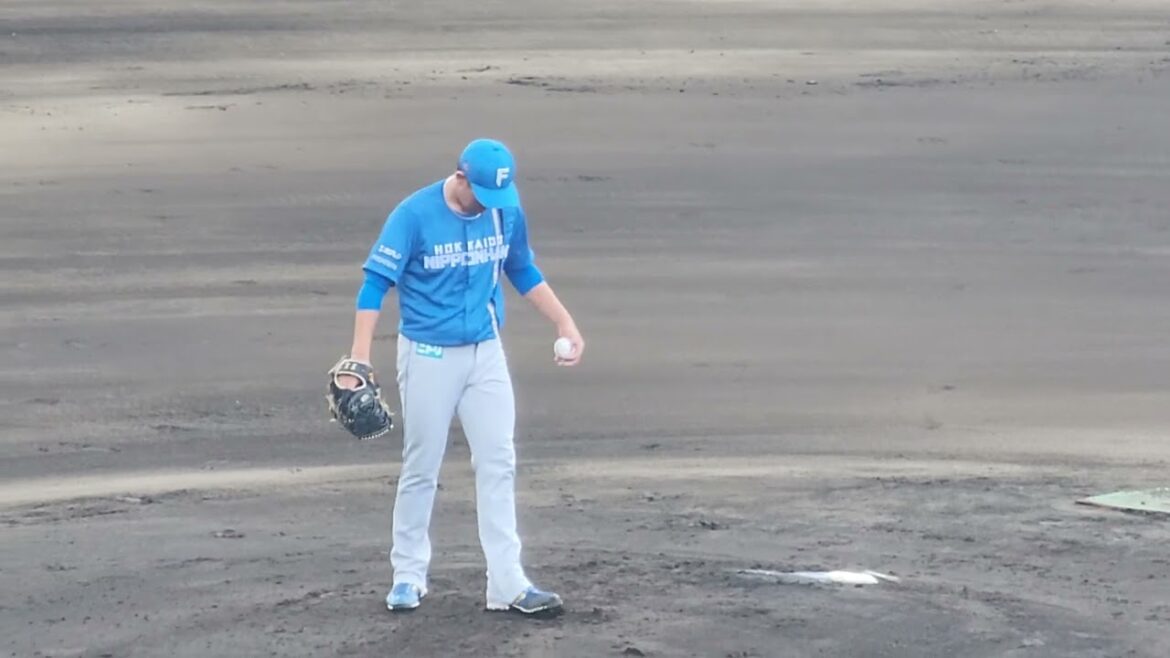 北海道日本ハムファイターズ 根本 ピッチング