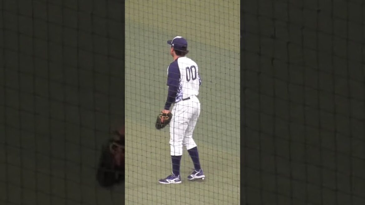 赤羽 由紘　'24シーズンキャリアハイも無念の骨折　#東京ヤクルトスワローズ #shorts