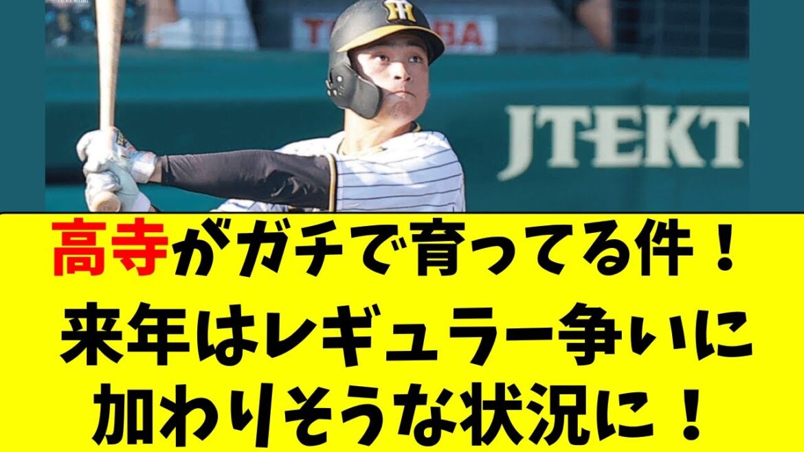 【阪神】高寺が来年、１軍のレギュラー争いに加わってきそう