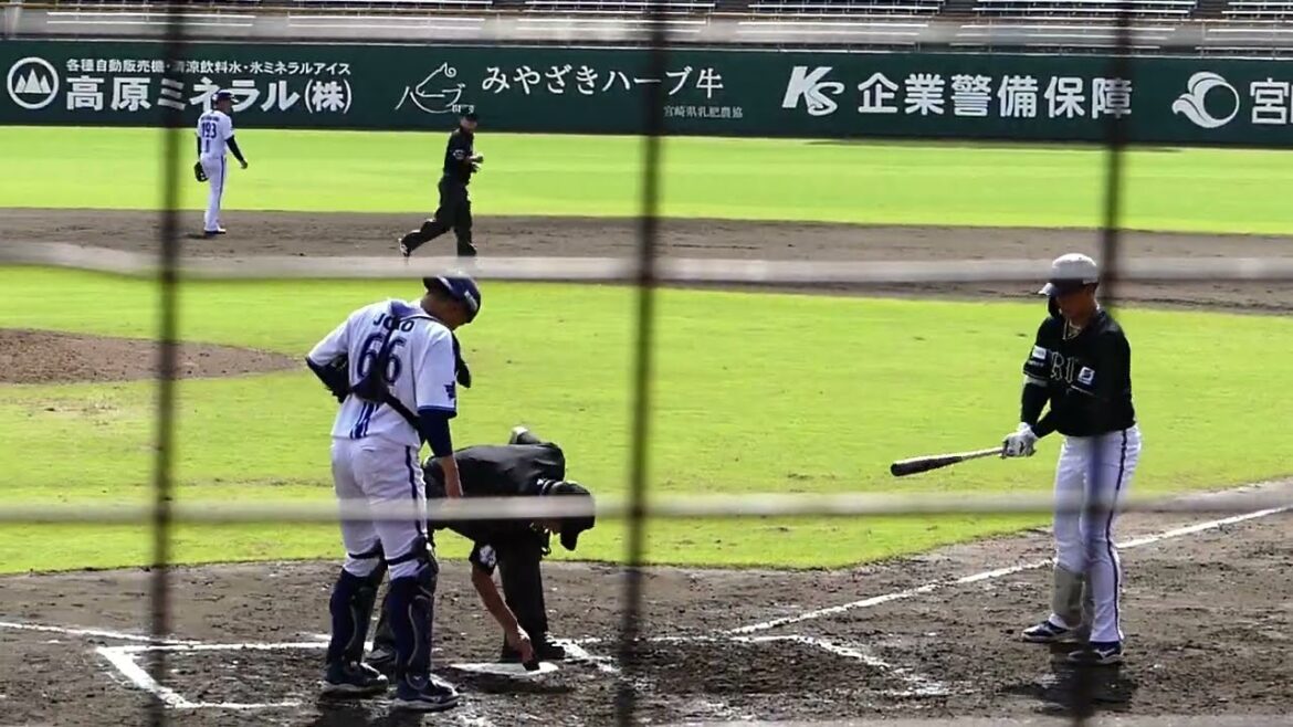 2024年10月みやざきフェニックスリーグ 横浜DeNA－オリックス 5回表・来田 涼斗 選手の第3打席