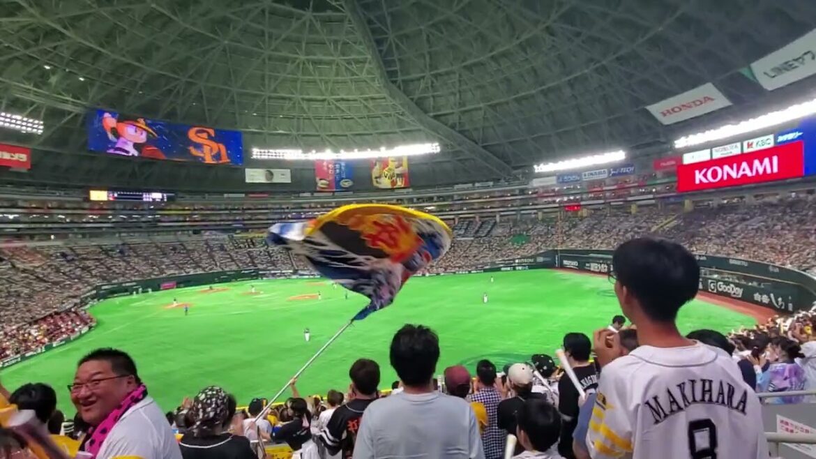 20240817　ｶｲｹﾙに対して佐藤直樹が出陣！福岡ｿﾌﾄﾊﾞﾝｸﾎｰｸｽ　1回ｳﾗ　攻撃前の3連@みずほPayPayﾄﾞｰﾑ福岡･外野ﾗｲﾄ