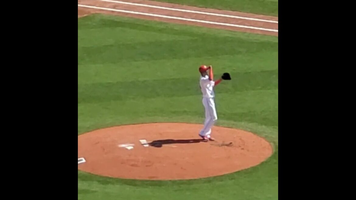 20240503　ｱﾄﾞｩﾜ誠の投球練習　#shorts　広島東洋ｶｰﾌﾟ　投球ﾌｫｰﾑ@MAZDA Zoom-Zoom ｽﾀｼﾞｱﾑ広島･ﾋﾞｼﾞﾀｰﾊﾟﾌｫｰﾏﾝｽ