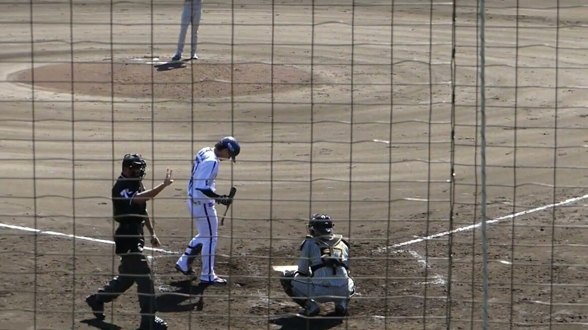 2024年10月みやざきフェニックスリーグ 横浜DeNA ー 阪神・東妻 純平 選手の第1打席