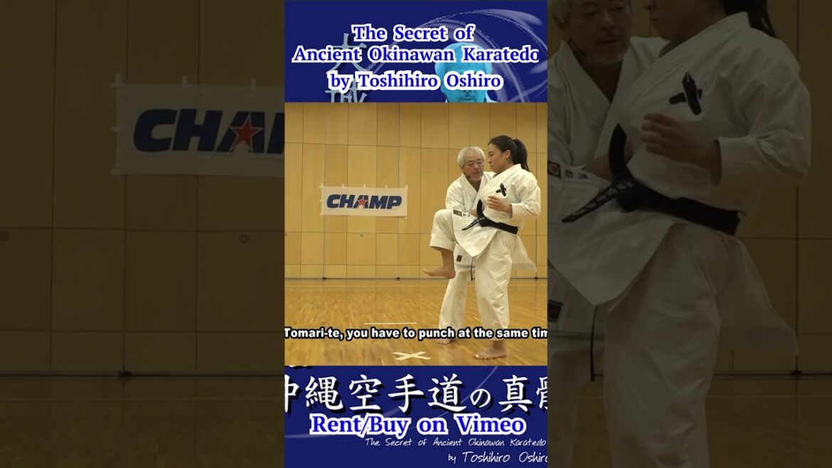 Controlling a foot -The Secret of Ancient #Okinawan #Karatedo- by Toshihiro Oshiro #short #karate Controlling a foot -The Secret of Ancient #Okinawan #Karatedo- by Toshihiro Oshiro #short #karate