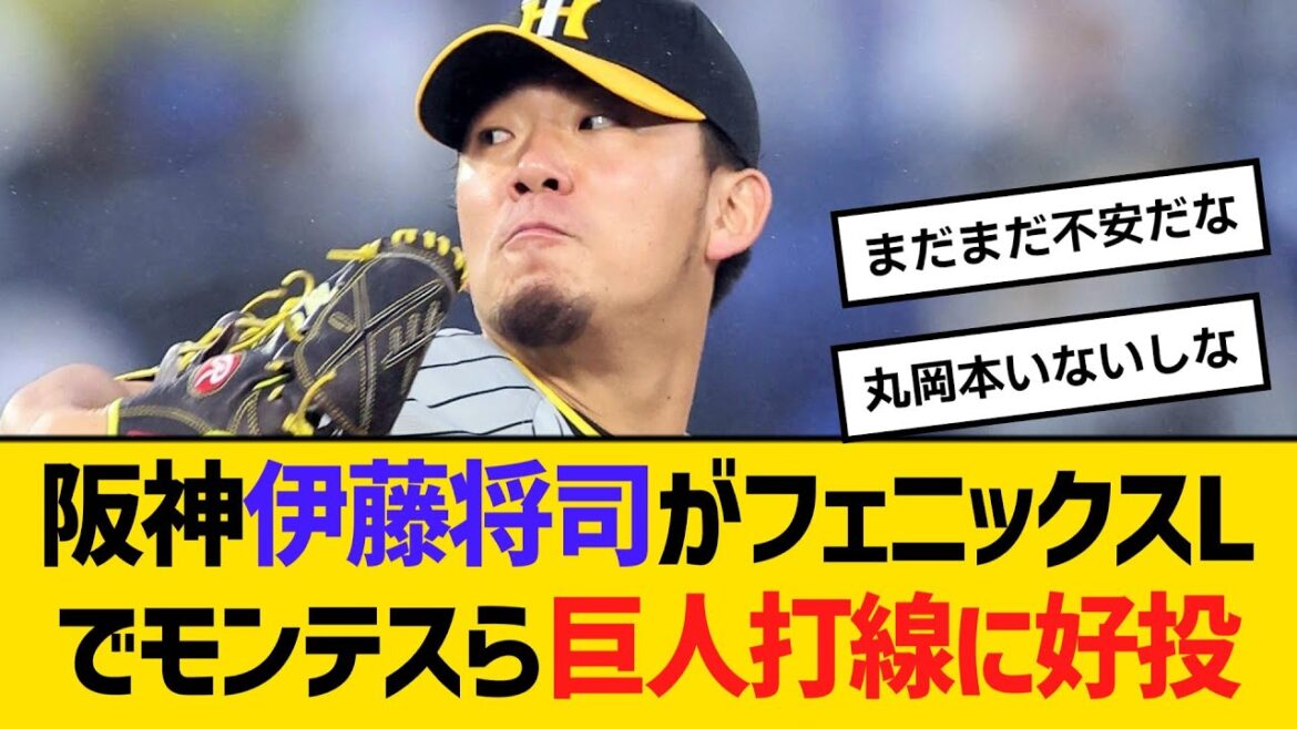 阪神・伊藤将司が、フェニックス・リーグでモンテスら出場の巨人打線に好投　【ネットの反応】【反応集】