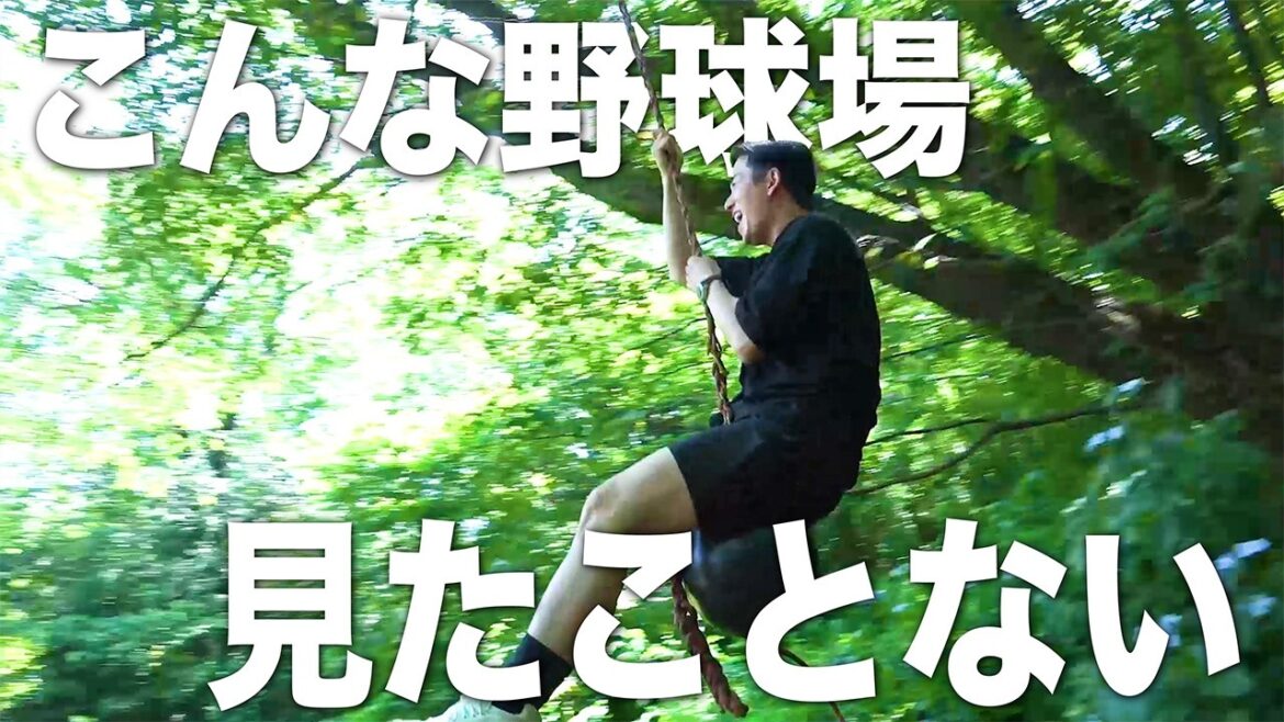 球場周辺にアクティビティをつくりたい!【野球場づくり】 球場周辺にアクティビティをつくりたい!【野球場づくり】