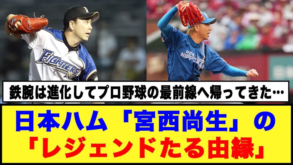 【17年目の鉄腕】日本ハム「宮西尚生」の「レジェンドたる由縁」