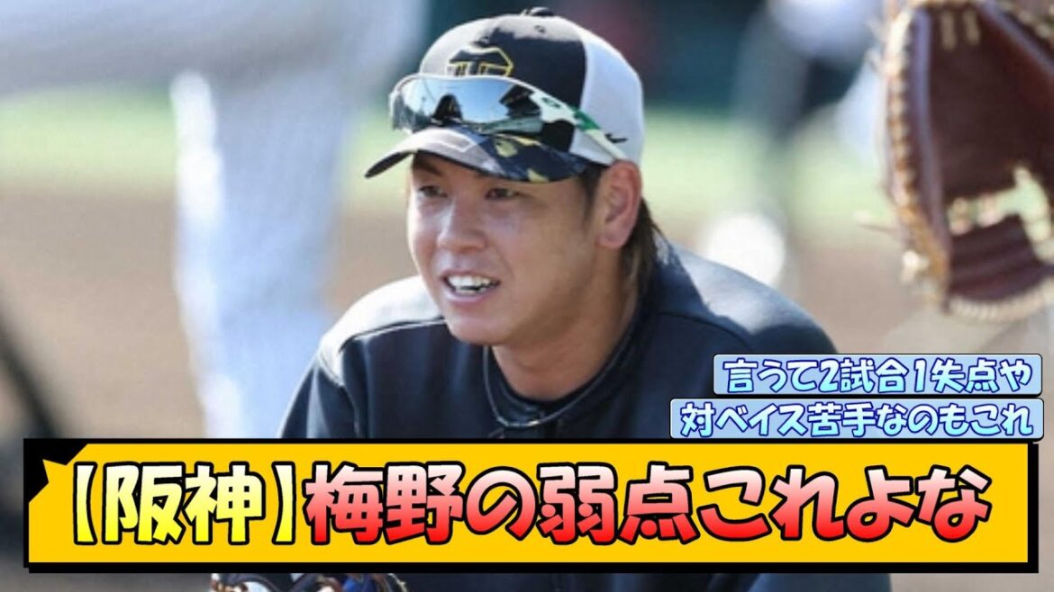 【阪神】梅野の弱点これよな【なんJ/2ch/5ch/ネット 反応 まとめ/阪神タイガース/岡田監督】