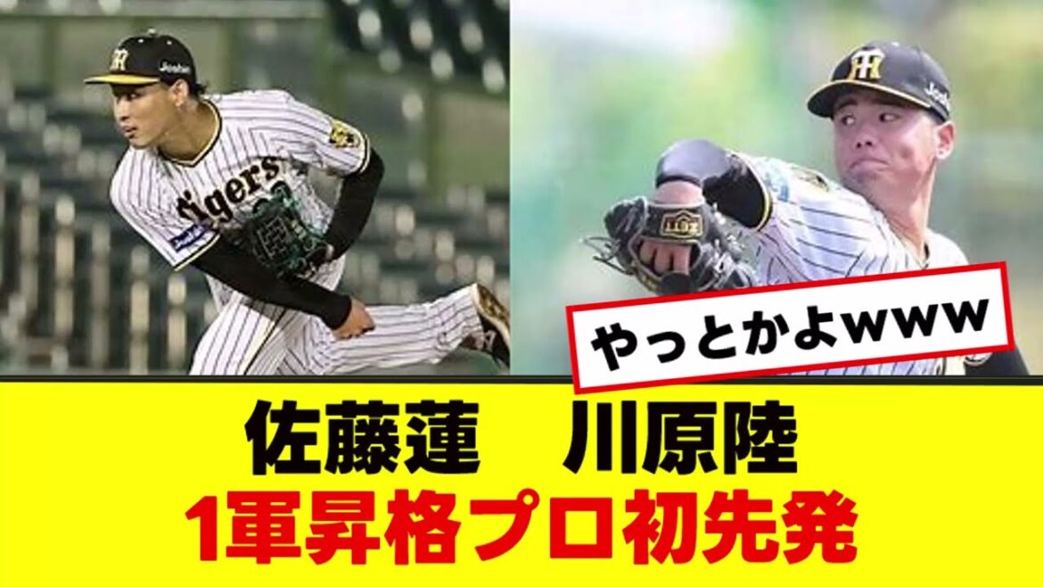 【阪神　佐藤蓮　川原陸】1軍もっと早く出したってｗ