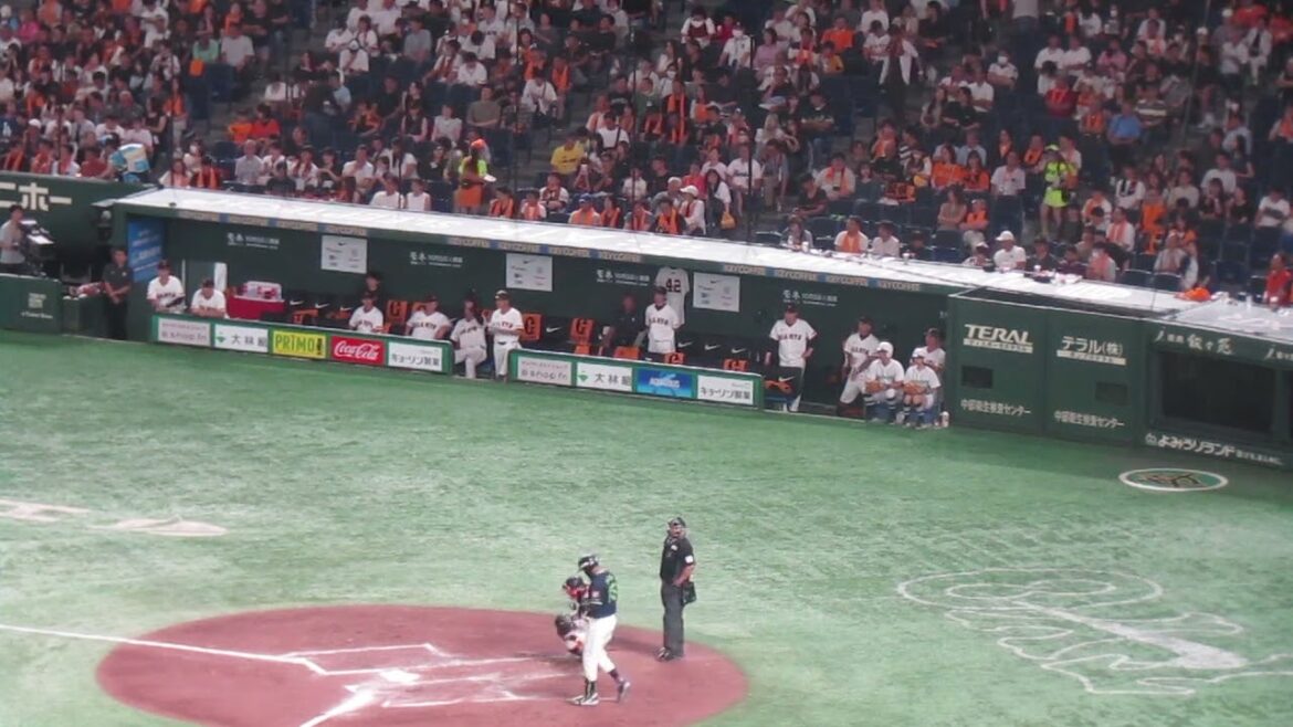 並木秀尊を打ち取り拍手する巨人ベンチの様子（2024年9月14日 読売ジャイアンツ 対 ヤクルトスワローズ）