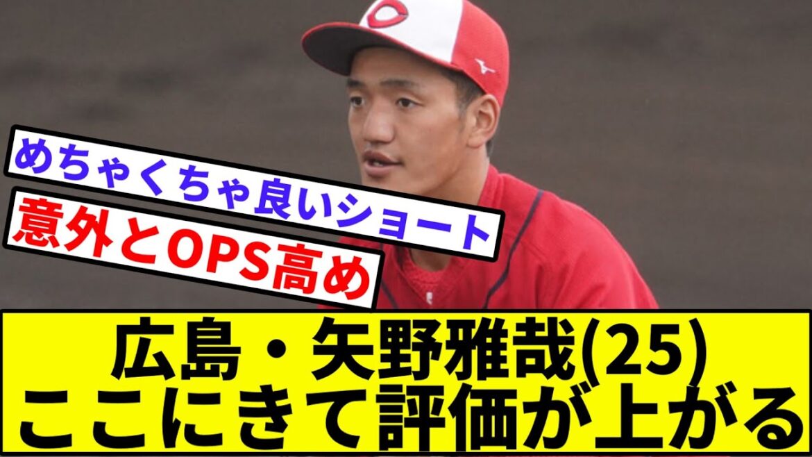 【菊池「こわい」】広島カープ・矢野雅哉、ここにきて評価が上がる【なんJ反応】【プロ野球反応集】【2chスレ】【1分動画】【5chスレ】【巨人】【中日】【阪神】【横浜DeNAベイスターズ】【ヤクルト】