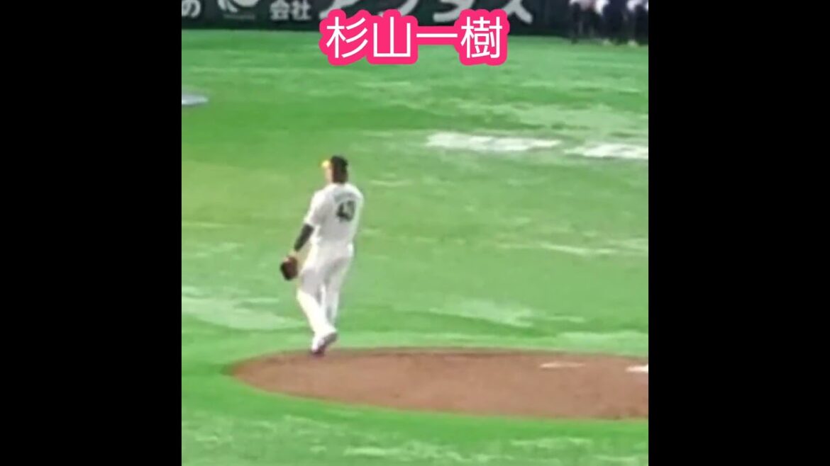 20240907　#杉山一樹　#投球フォーム 　#shorts@みずほPayPayﾄﾞｰﾑ福岡･外野ﾗｲﾄ